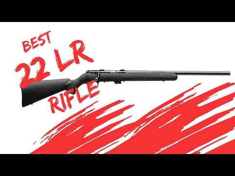 Savage Mark II .22 LR Review | Incredible Accuracy