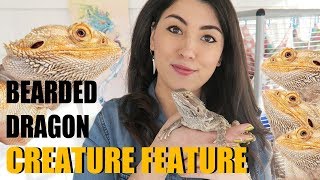 BEARDED DRAGON! | Meet My Cute Dragon | Bearded Dragon Facts | Creature Feature by Emzotic