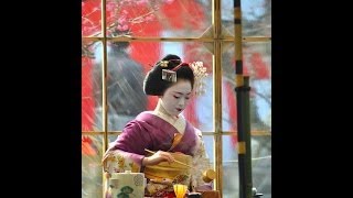 Baikasai (梅花祭) Geisha Plum Blossom Tea Festival