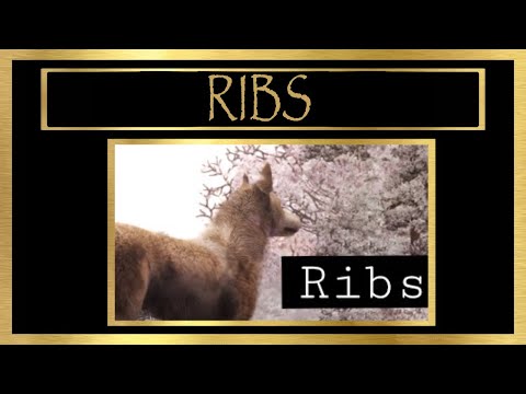 S3P - Ribs
