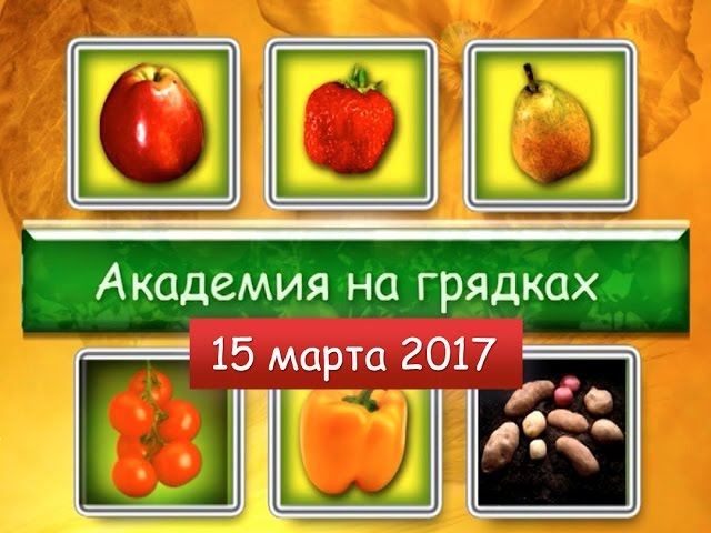 Академия на грядках от 15 марта 2017