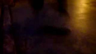 nuno o gay skater video