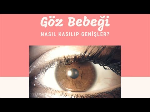 Göz Bebeği Nasıl Küçülüp Genişler - Opr. Dr. Celal Yeter