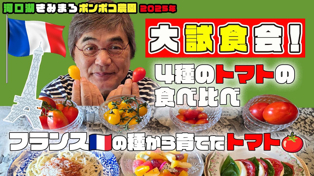 【フランス🍅トマト🍅の大試食会】フランスの種から育てた4種のトマトの食べ比べ／河口湖きみまろポンポコ農園／綾小路きみまろ