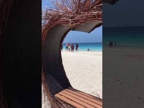 #zanzibar #southafrica #germany #blacktravelers #blacktravelfeeds #short #California #tourism