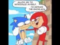Hedgehog the Sonic 