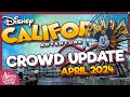 How CROWDED is Disney California Adventure in April 2024? | Wait Times & More