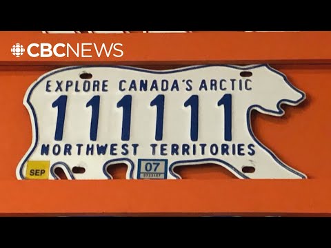 Polar Bear Licence Plate