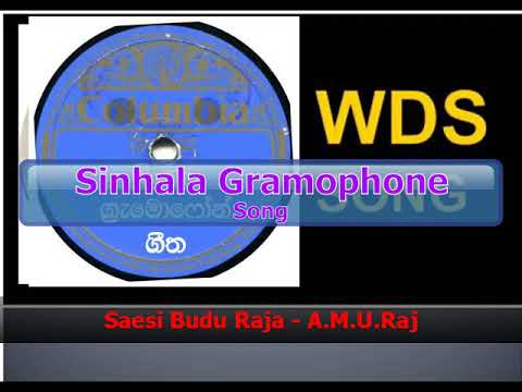 Saesi Budu Raja - A.M.U.Raj