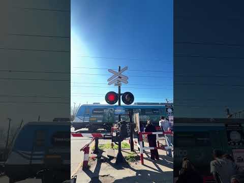 Tren Línea Roca llegando a Glew Bs As
