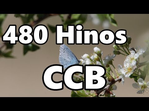 480 Hinos Cantados CCB - 1,2,3,4,5,6,7,8,9,10,11,12,13,14,15,16,17,18,19,25,46,75,80,27 - CCB 2025