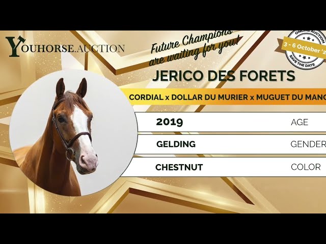 Jerico Forets showvideo