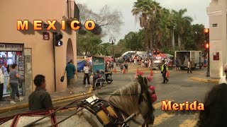 Mexico, Merida Cathedral and City Hall - Mexico,Belize,Guatemala,Honduras Ep11-Vlog,calatorii,travel