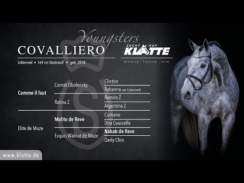 Covalliero - brother to Conthielle O&P