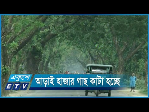 মেহেরপুরে সড়ক সম্প্রসারণে আড়াই হাজার গাছ কেটে ফেলা হচ্ছে | ETV News