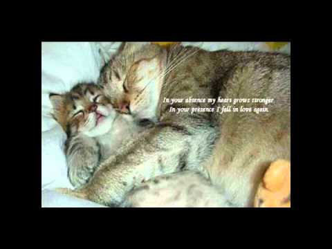 jit leishangthem................ baby baby Manipuri new song 2011