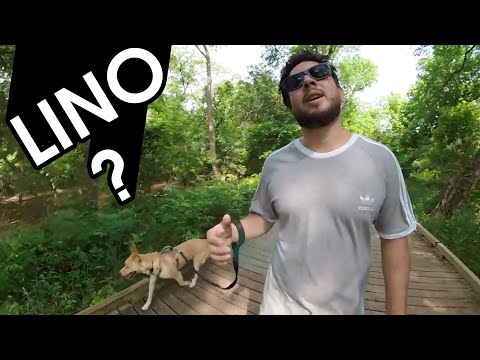 HONEST REVIEW OF RICARDO LINO