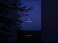 Tumse Mila To Yun Laga Maheroo Maheroo Song Aesthetic Lyrics Status Trending Shorts Love