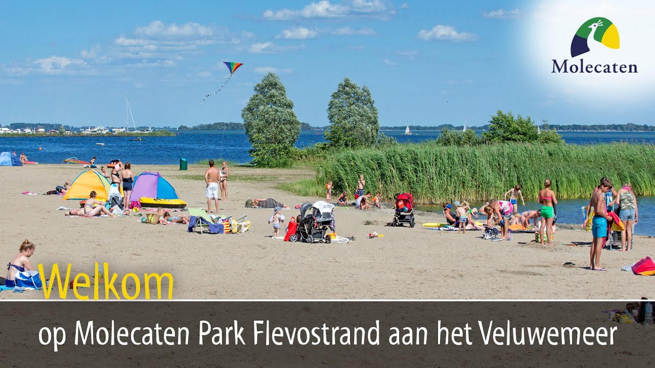 Bekijk het filmpje van Molecaten Park Flevostrand aan het Veluwemeer