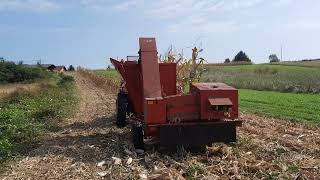 SIP Tornado 40 & YTO 454 - branje kukuruza