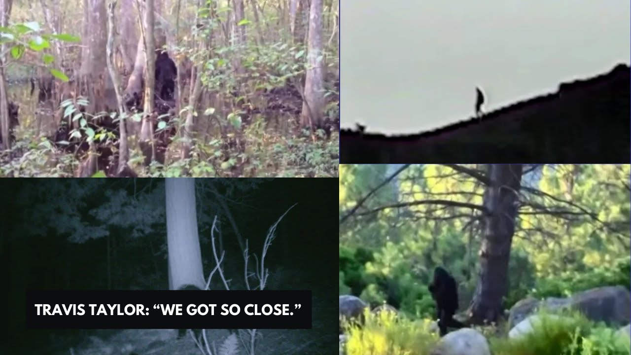 YouTube Thumbnail Downloader FULL HQ IMAGE