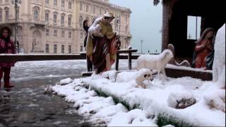 preview picture of video 'NEVE a TRIESTE 8 12 2012'