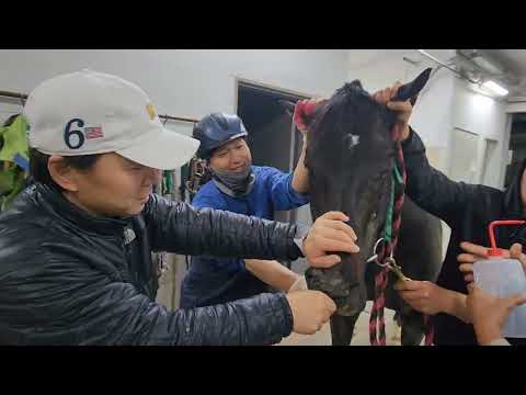 새내파워풀 믿기지 않는 우승 새내파이터는 당연 우승