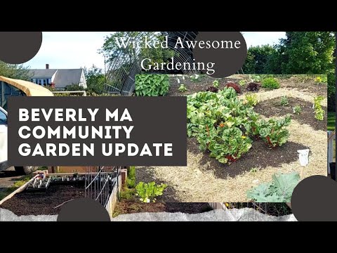 Beverly MA Community Garden Tour Update