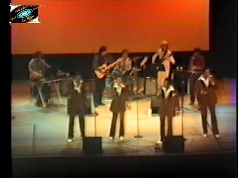 The Spaniels Live in Andover, MA 11/12/83