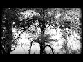 FAD GADGET - Back To Nature