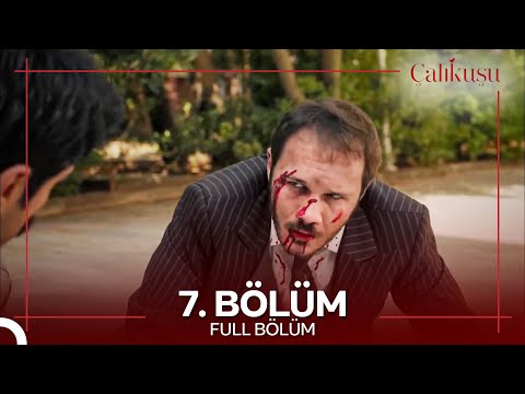 Çalıkuşu 7. Bölüm