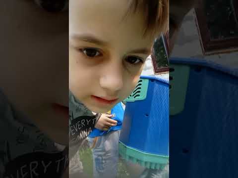 мыльные пузыри