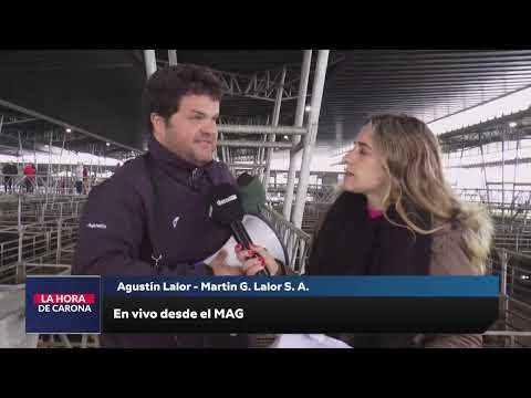 LHC - Agustin Lalor (16-09-25)