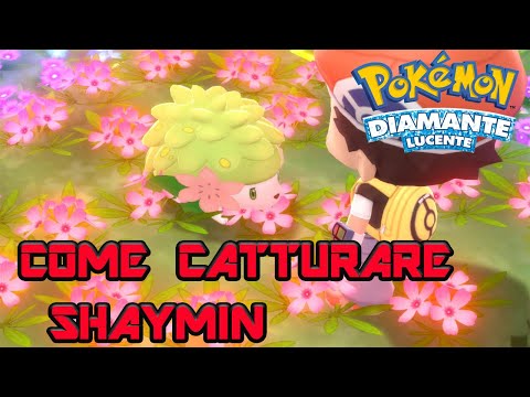 POKÉMON DIAMANTE LUCENTE COME OTTENERE SHAYMIN