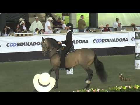 MARIA GABRIELA LESMES REY, AMAZONAS INFANTILES B, VALIDA NACIONAL  EQUITACION EL RETIRO ASOCABA 2026