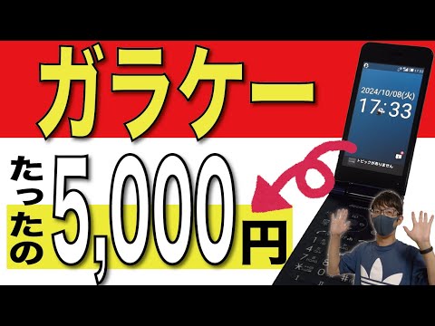 モバイル インターネット: すべての携帯電話がこのイノベーションをサポートしているわけではありません