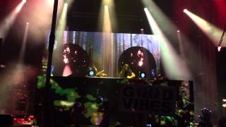 Bassnectar - Dubuasca ft. Michael Kang (live) @ Electric Forest 2015