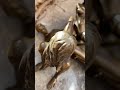 Erotic Bronze Statuette Three Way Sex