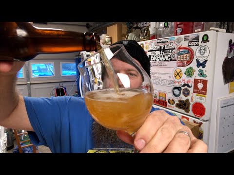 2022 Hops Experiment - T90 Citra Hops