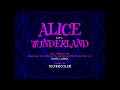 Alice In Wonderland 1951 Opening Credits And The End German