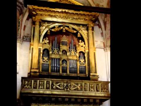 Verona and the horse show - Italy - Itália