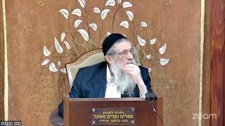 הרה"ג הרב וועכטר שליט"א ו' שבט תשפ"ה - מאמר הרבי הריי"צ ד"ה באתי לגני תש"י (הרב אברהם מנחם מענדל וכטר) - התמונה מוצגת ישירות מתוך אתר האינטרנט יוטיוב. זכויות היוצרים בתמונה שייכות ליוצרה. קישור קרדיט למקור התוכן נמצא בתוך דף הסרטון