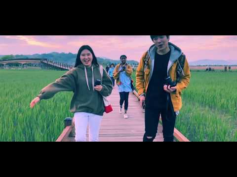 Tokyo Nights Digital Farm Animals Music Video