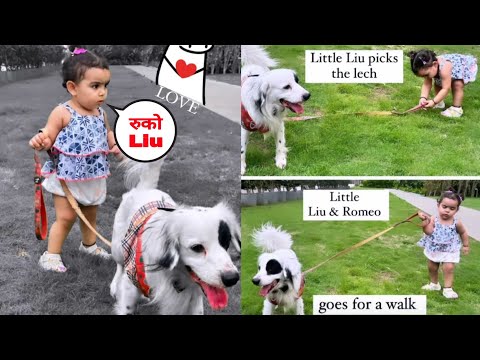 Gurmeet Choudhary and Debina Bonnerjee Daughter Lianna  Morning walk with her Doggy 🐕