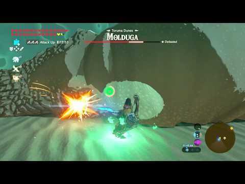 Killing Molduga in 10 Seconds - Zelda Breath of the Wild