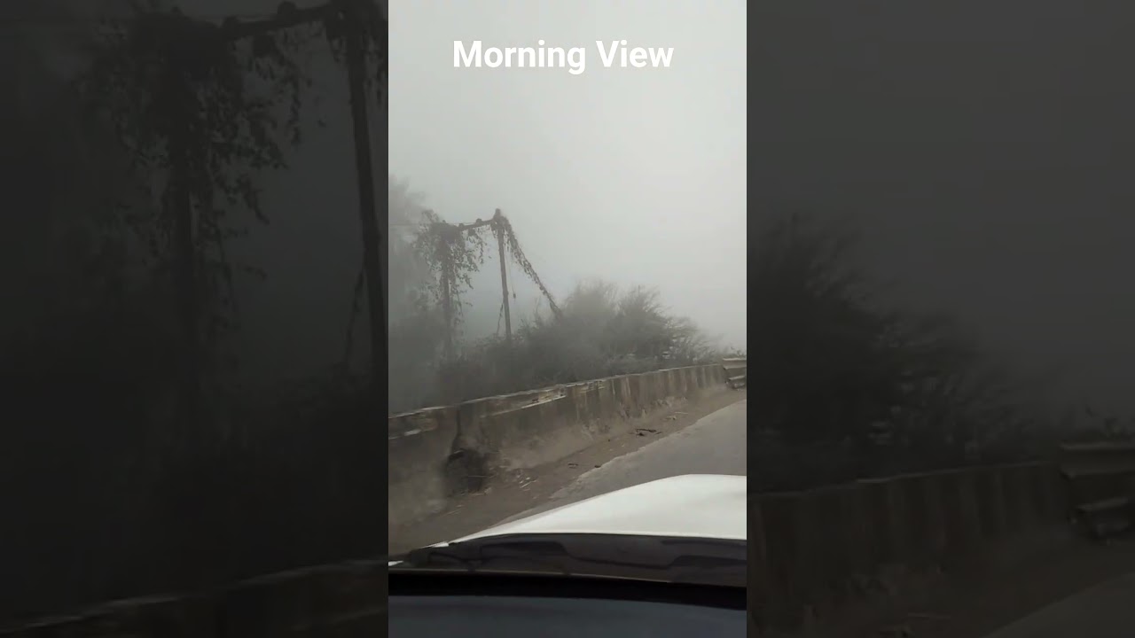 morning view of fog 🌫️ wheather #shortsfeed #shorts #shortvideo #short #trending #trendingshorts