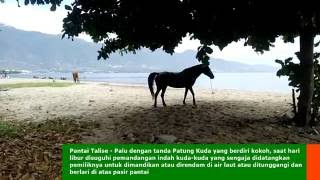 Download lagu Patung dan kuda di Pantai Talise mp3