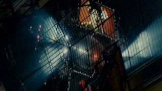 Transllusion -Cerebral Cortex Malfunction.