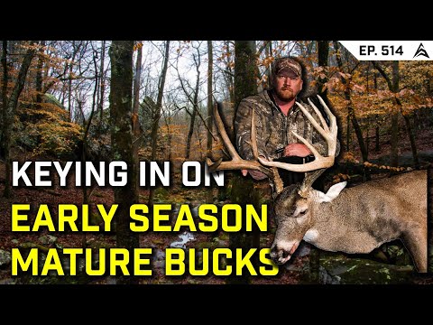How To Hunt Bucks In The Early Season (Tips From an Expert)