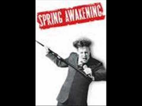 Spring Awakening - Totally Fucked